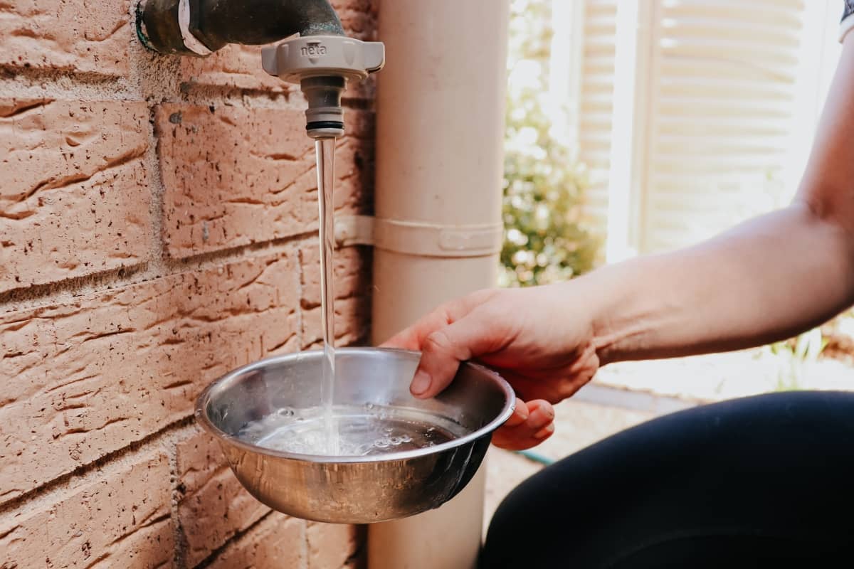Dog owner fills up dog's water bowl on hot day