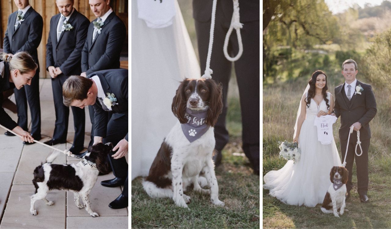 Amy and James with their dog on their Wedding Day