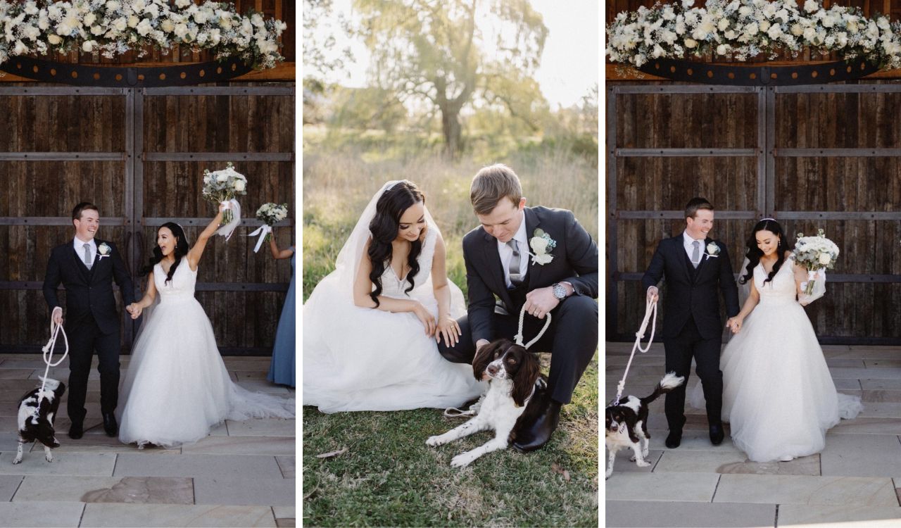 Dog at Wedding of Amy and James