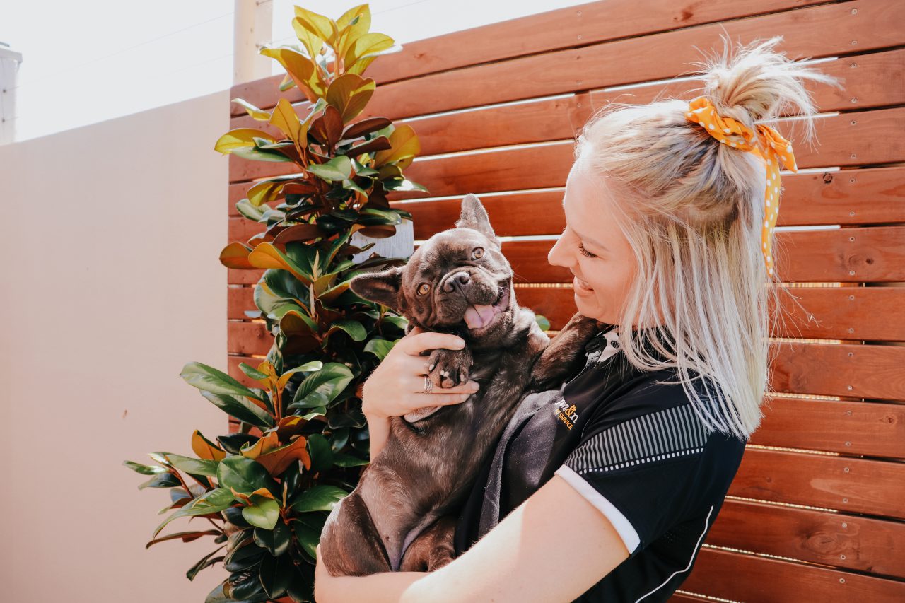 Woman holds smiling French Bulldog