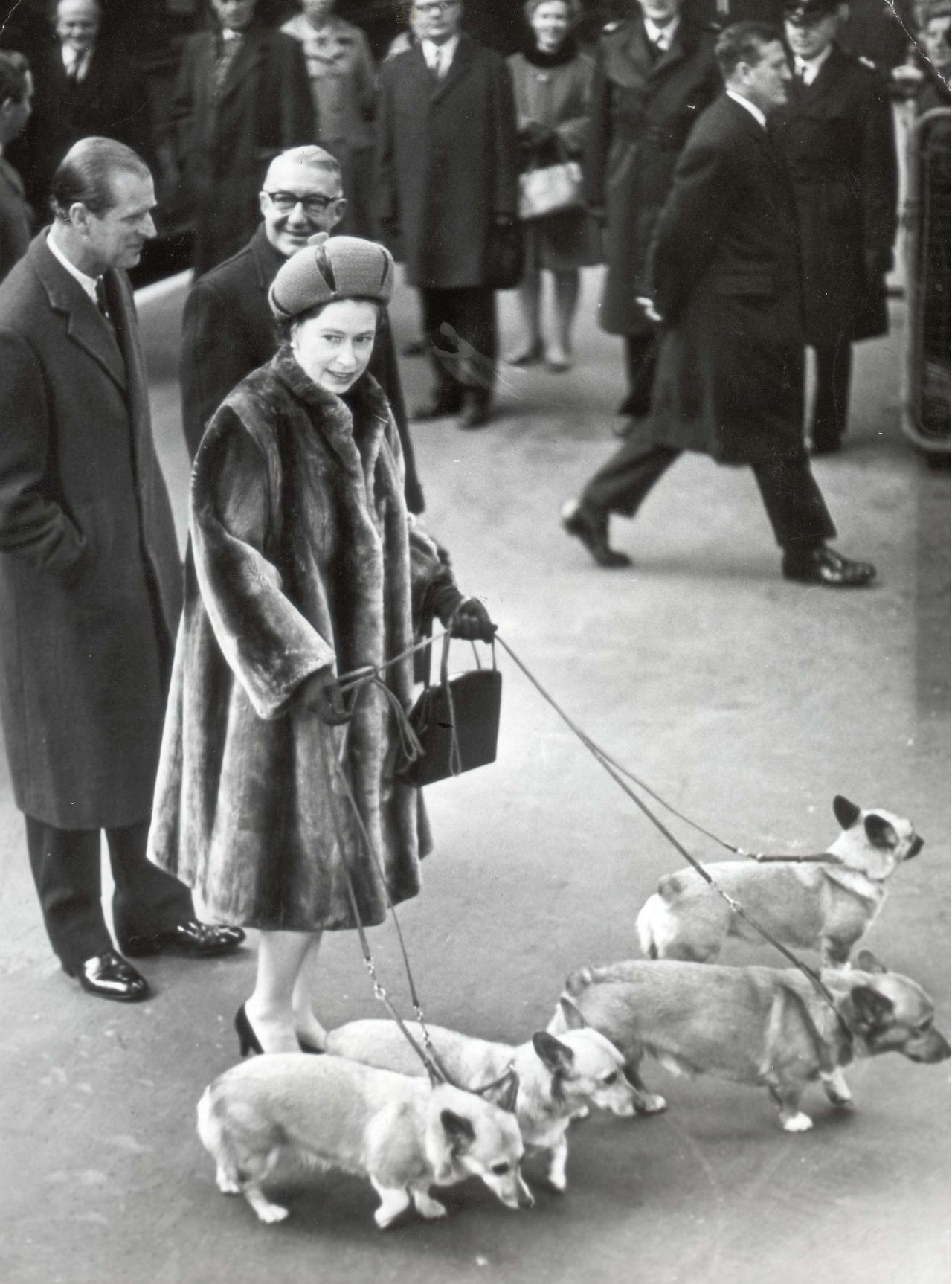 The Queen & Her Corgis