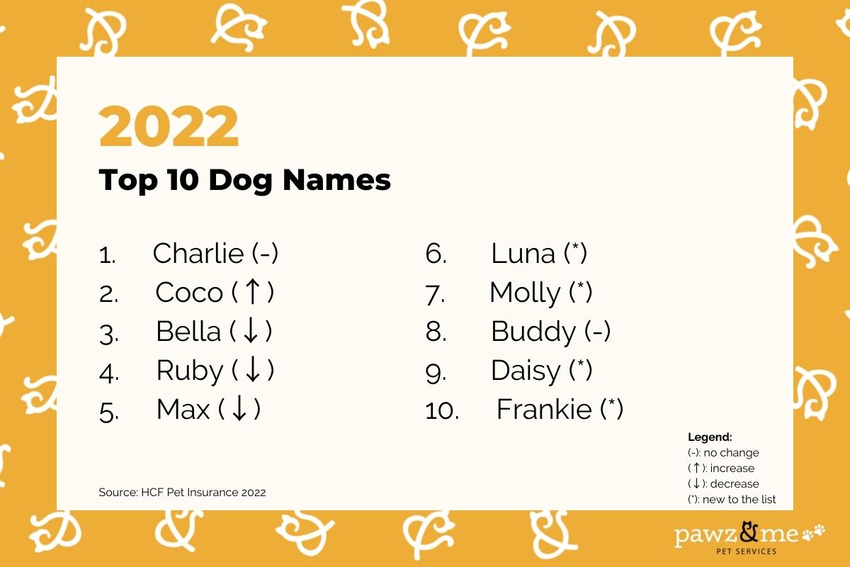 Top 10 Dog Names in Australia in 2022