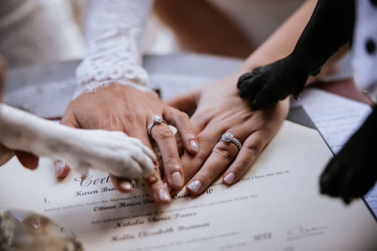 Dog at wedding ceremony photos