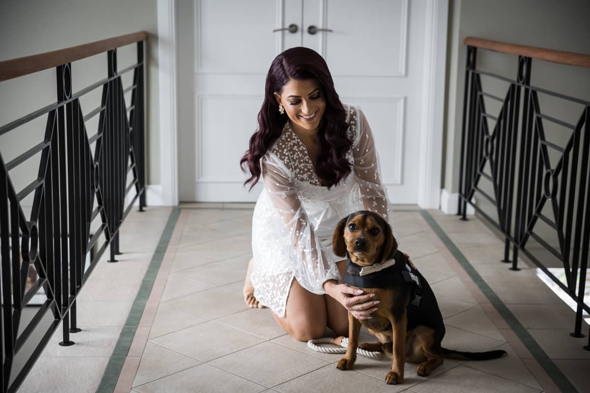 Dog at wedding taking photos