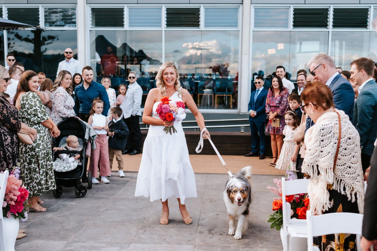 https://www.pawzandme.com.au/wp-content/uploads/2023/01/Dog-wedding-ideas-aisle.jpg