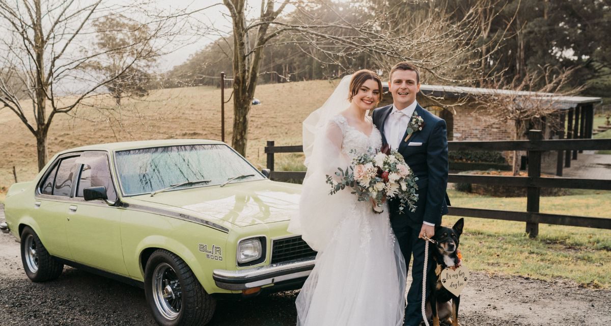 https://www.pawzandme.com.au/wp-content/uploads/2023/02/Wedding-Pet-Assistant-helps-wedding-couple-with-dog-1200x640.jpg