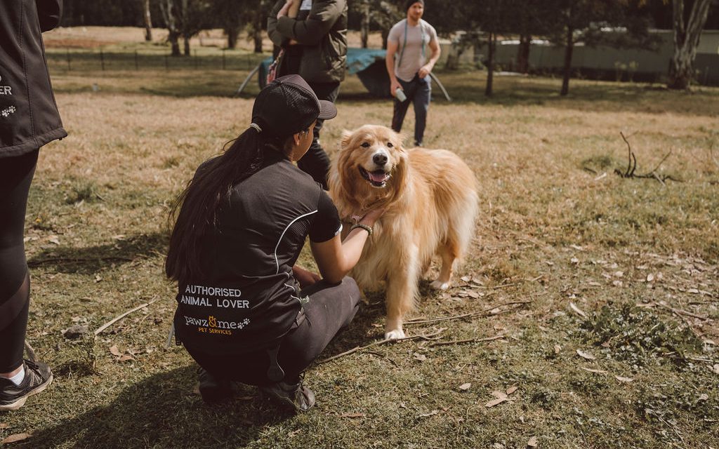 https://www.pawzandme.com.au/wp-content/uploads/2023/02/pawz-and-me-224-1024x640.jpg