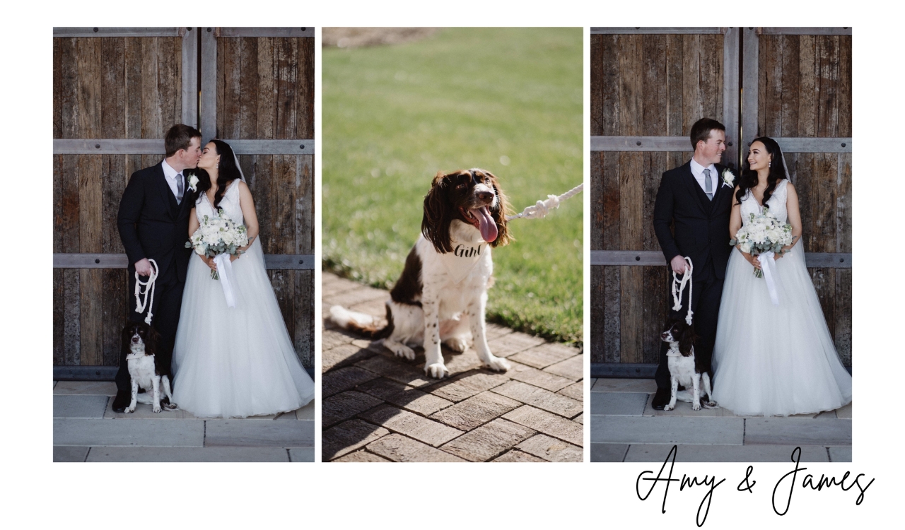 The Wedding Day of Amy & James with dog Ruby