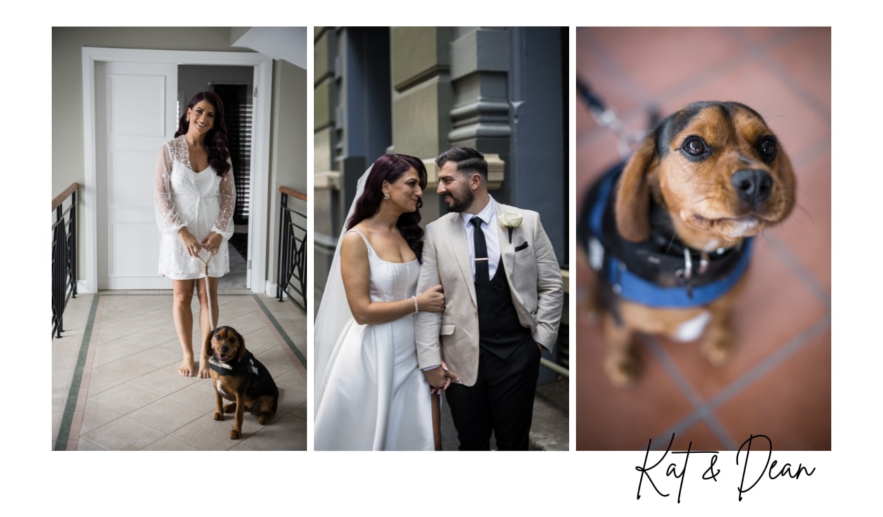 Kat & Dean wedding feature with their dog at wedding