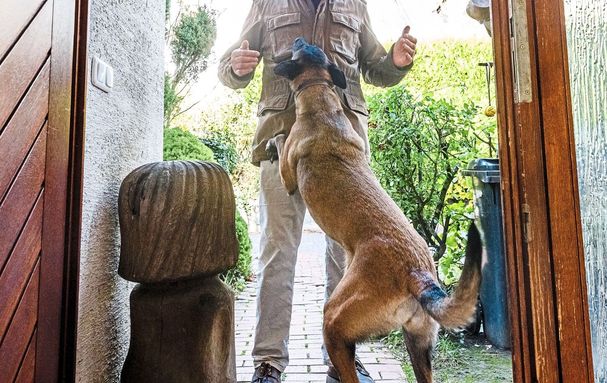 Dog jumping on man at front door