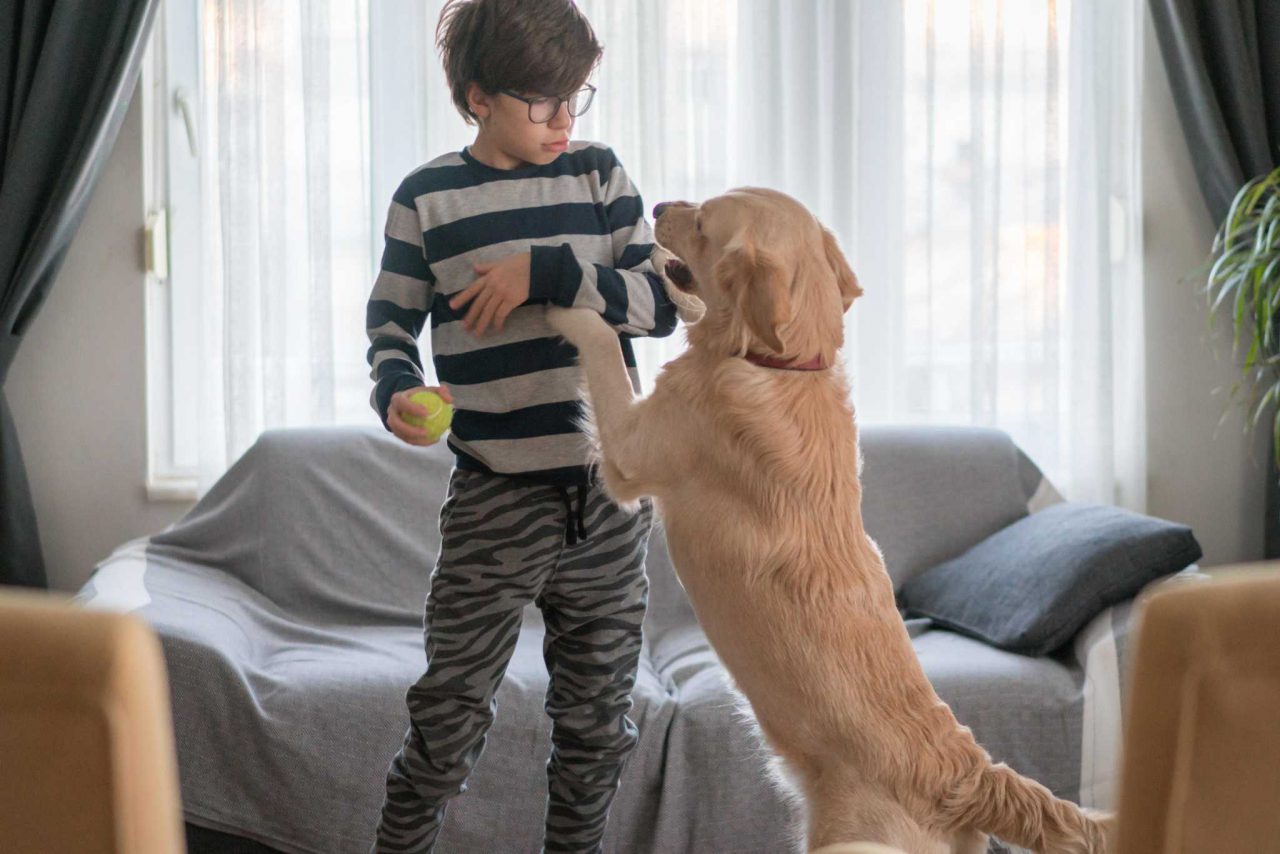 Boys playing with her dog in the living room