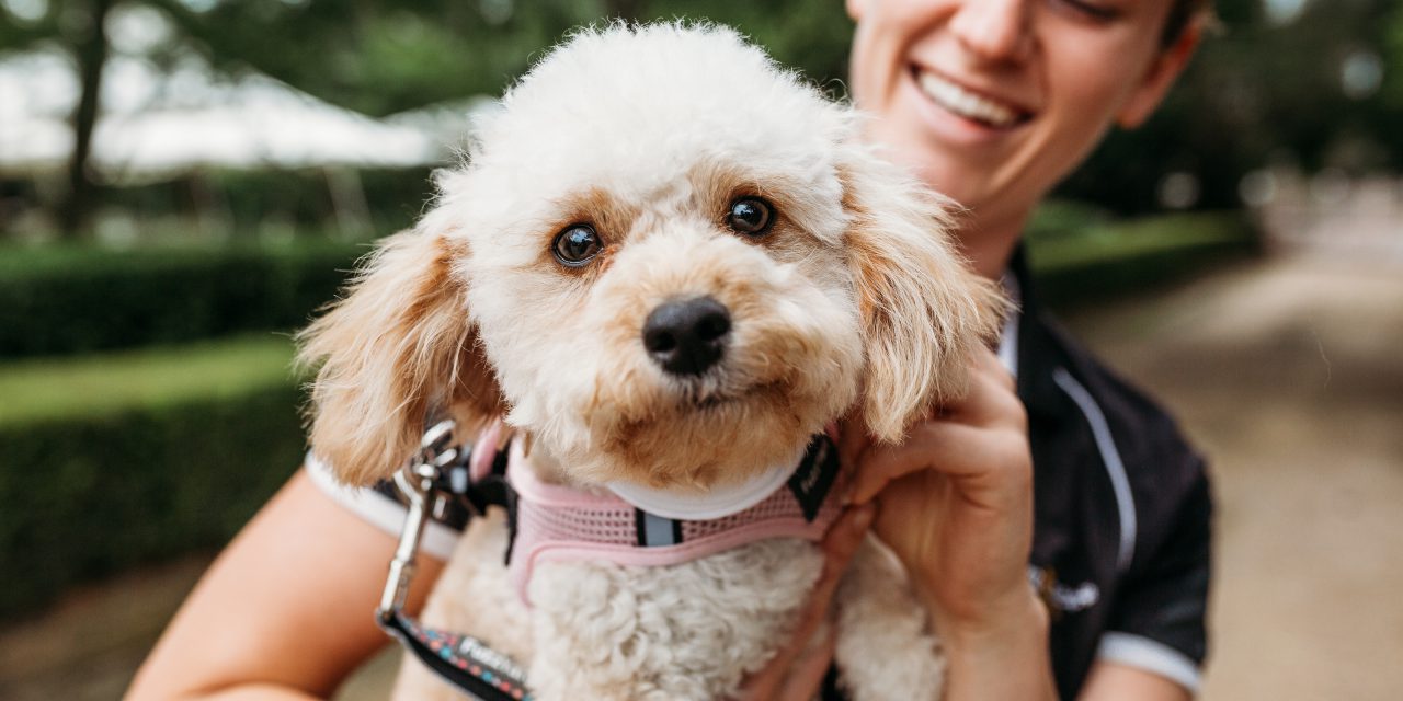 https://www.pawzandme.com.au/wp-content/uploads/2024/05/JA-126-1280x640.jpg