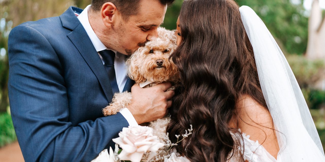 https://www.pawzandme.com.au/wp-content/uploads/2024/05/kaitlyn-robert-walsh-wedding-484-1-1280x640.jpg